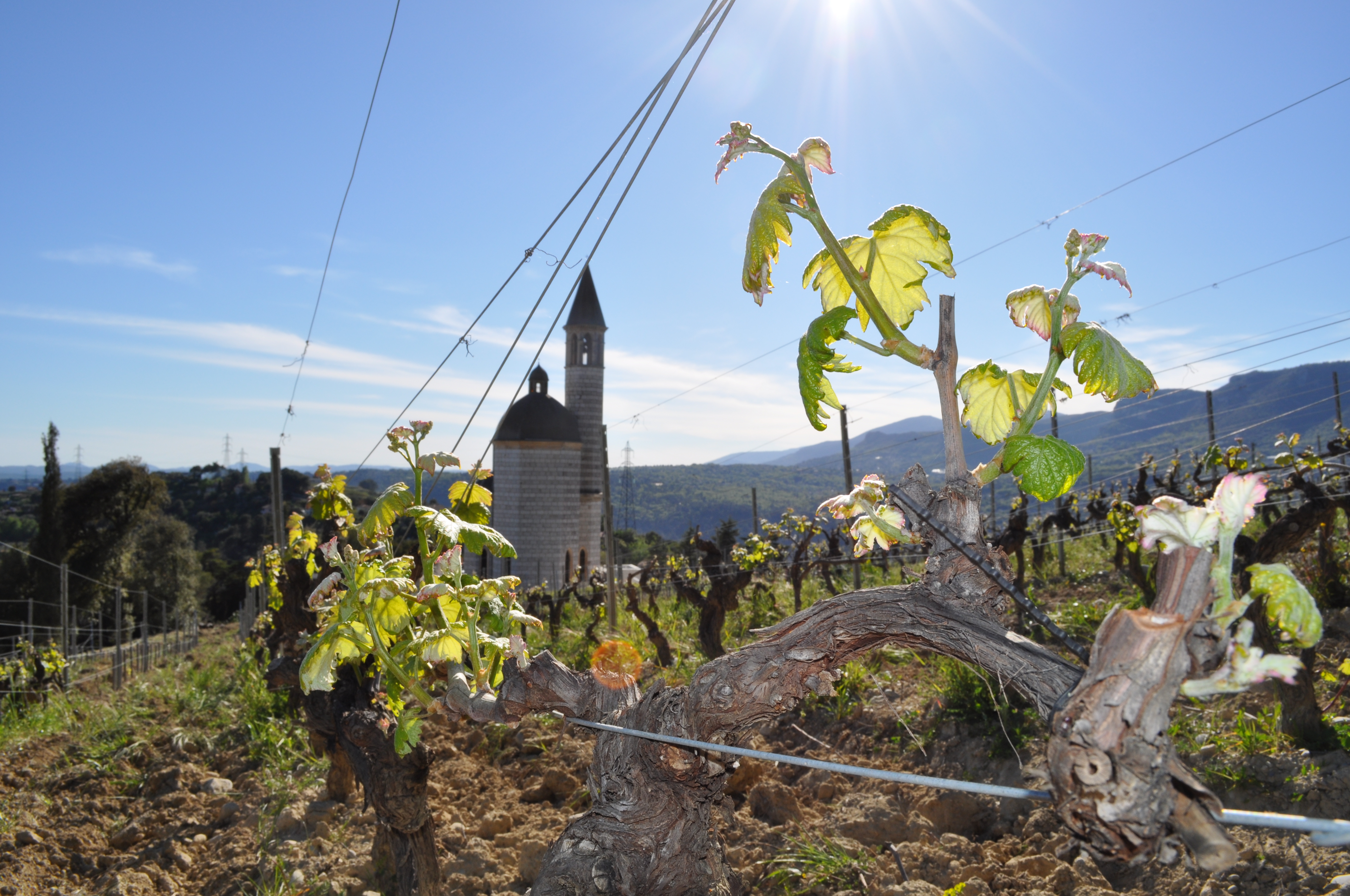 DSC_0077 la route des vins de provence en cote azur