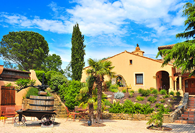 degustation-de-vin---visite-vignoble-provence la route de provence et ses degustations de vins dans les vignobles