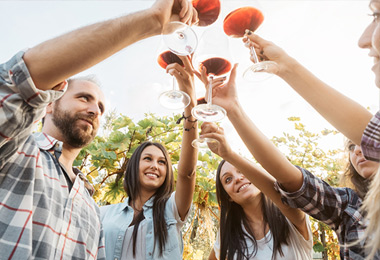 degustation-vin-alsace-colmar degustation de vins a colmar alsace haut rhin 68