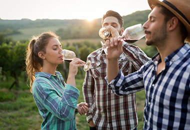 degustation-vin-nevers vos degustations de vins sur la route des vins a nevers en bourgogne