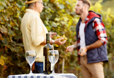 degustation-vins-toulon vos degustations de vins a toulon