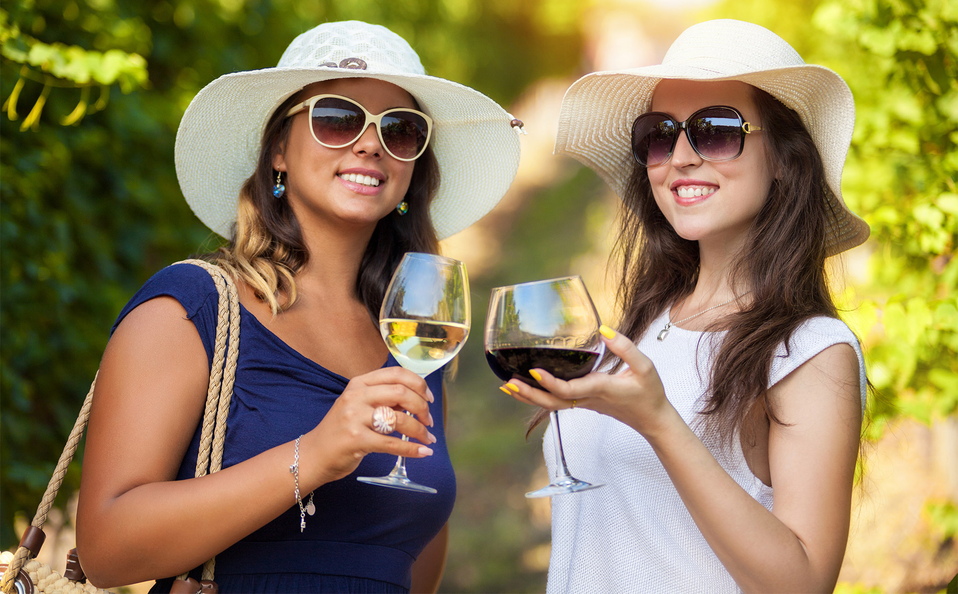 background-vidivino-tour-prives tour prives degustation de vins alsace bourgogne provence