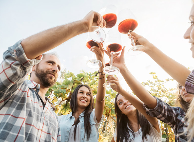 visu-3 tour et circuits degustation de vin en provence 13 alsace 67 68 et en bourgogne 51